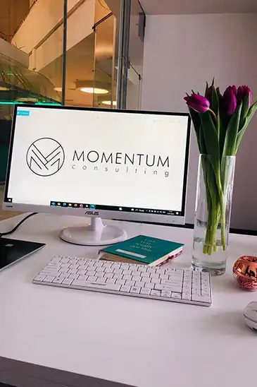 Momentum Consulting Tuzla